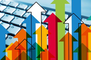 开云网站-体育新闻中心启动区域体育媒体协同发展机制，体育媒体工作