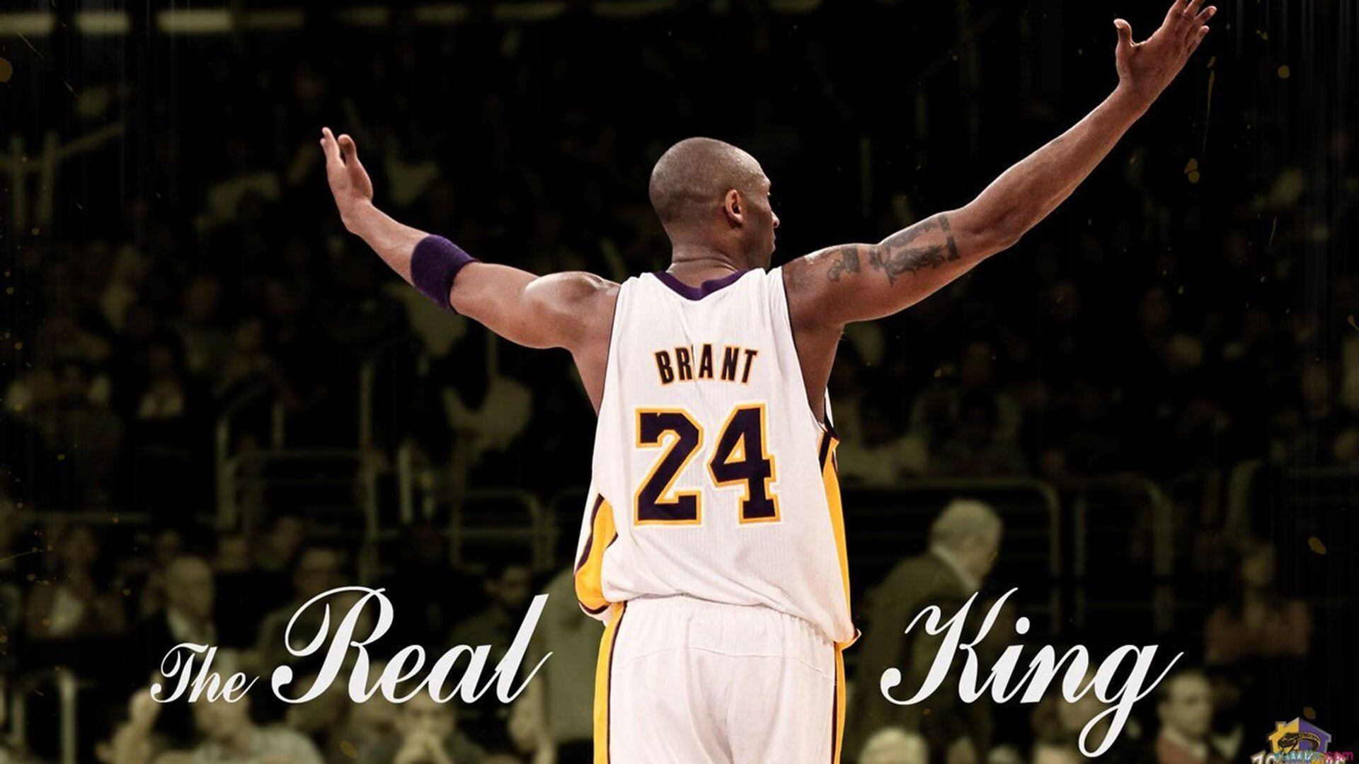 开云官网在线-球员平均年龄下降新生代崛起势头明显，平均年龄最低的球队